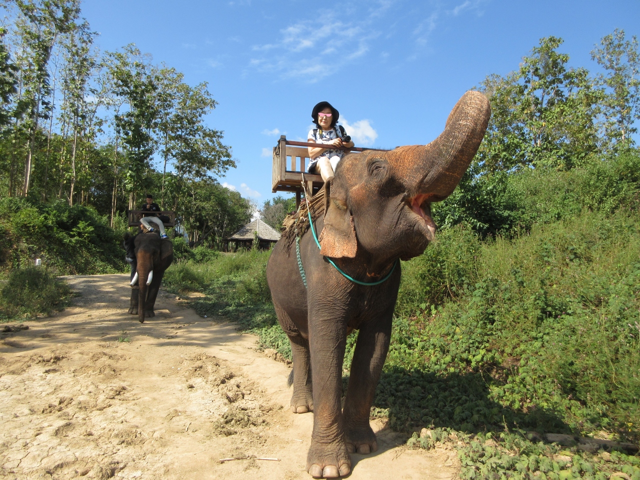 ラッキー 象乗り体験ができました 象は穏やかで賢い ルアンパバーン ラオス 19 その他の都市 ラオス の旅行記 ブログ By 薔薇の咲く庭さん フォートラベル