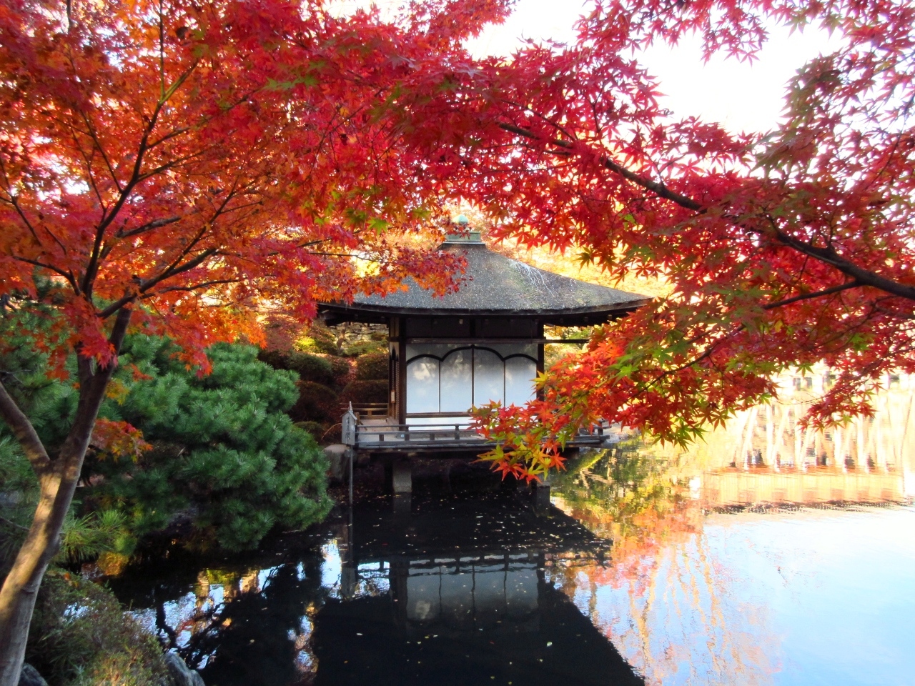 19紅葉めぐりの旅4 根来寺と和歌山城紅葉渓庭園 和歌山県の旅行記 ブログ By Tomoさん フォートラベル