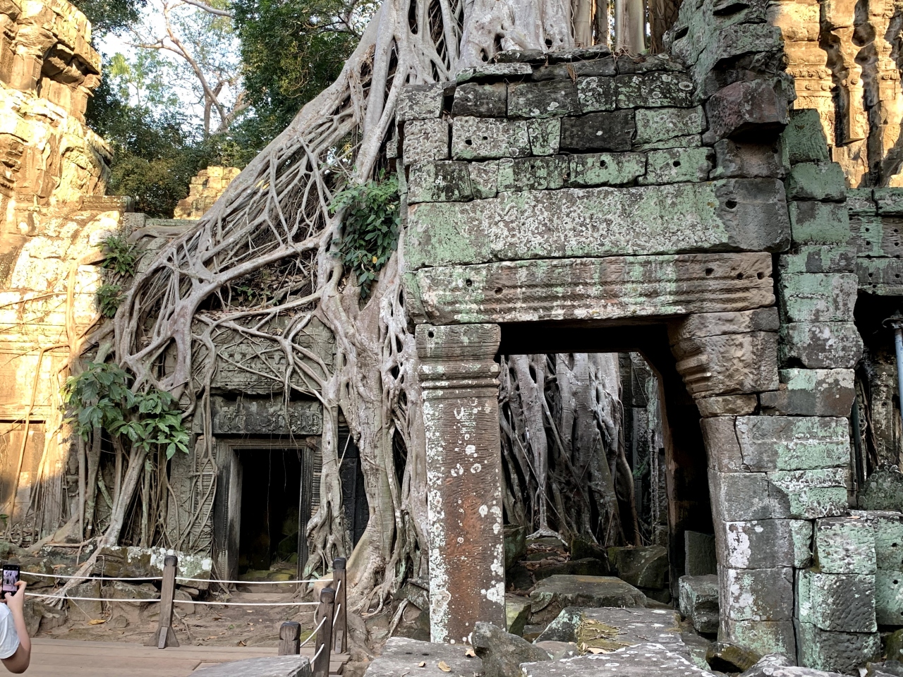 天空の城ラピュタの世界 廃墟寺院に大樹が生茂るタプローム アンコール遺跡群 シェムリアップ カンボジア の旅行記 ブログ By Kennyさん フォートラベル