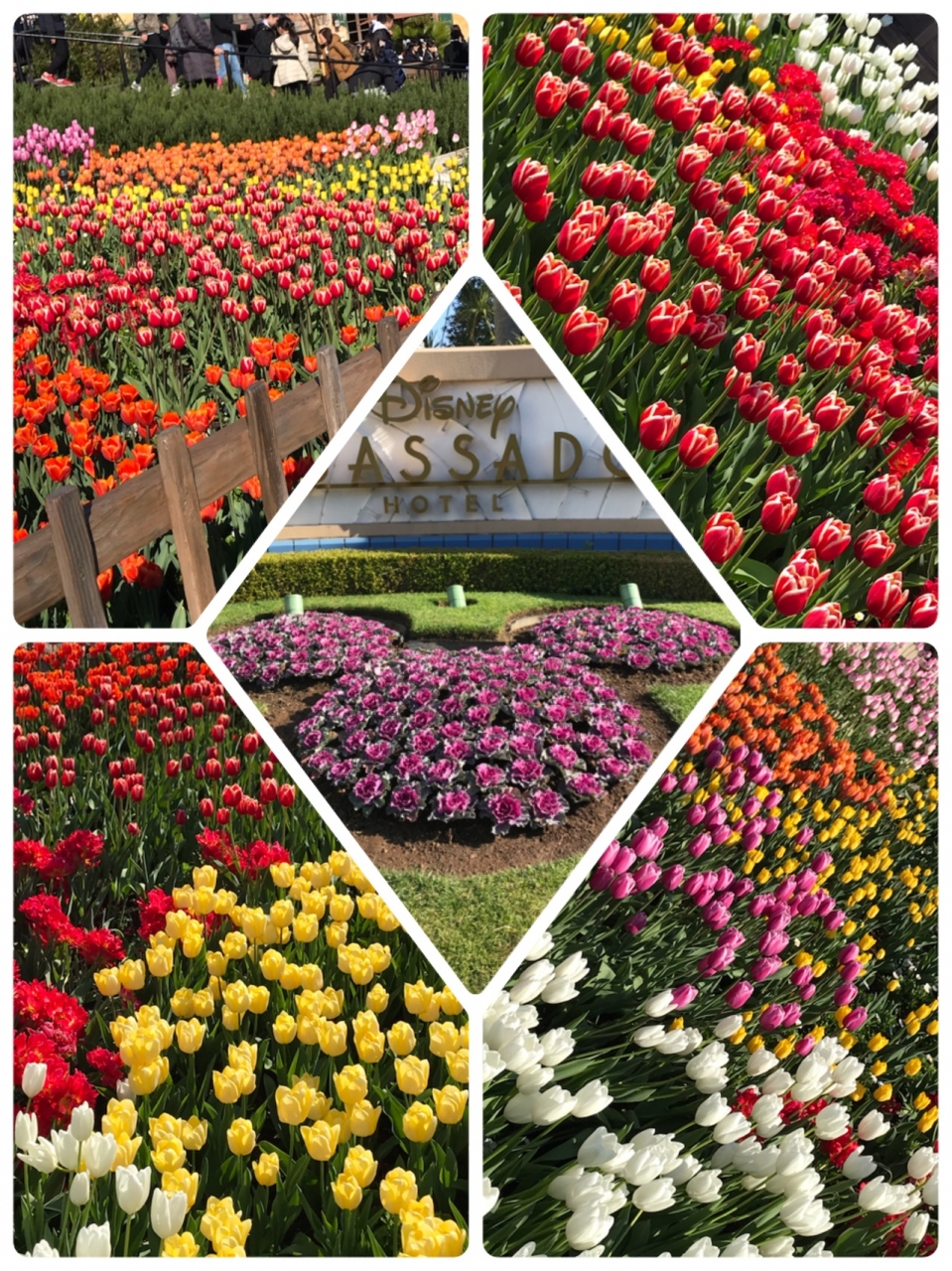 年お正月のディズニーシー 浦安散歩 東京ディズニーリゾート 千葉県 の旅行記 ブログ By Miroさん フォートラベル