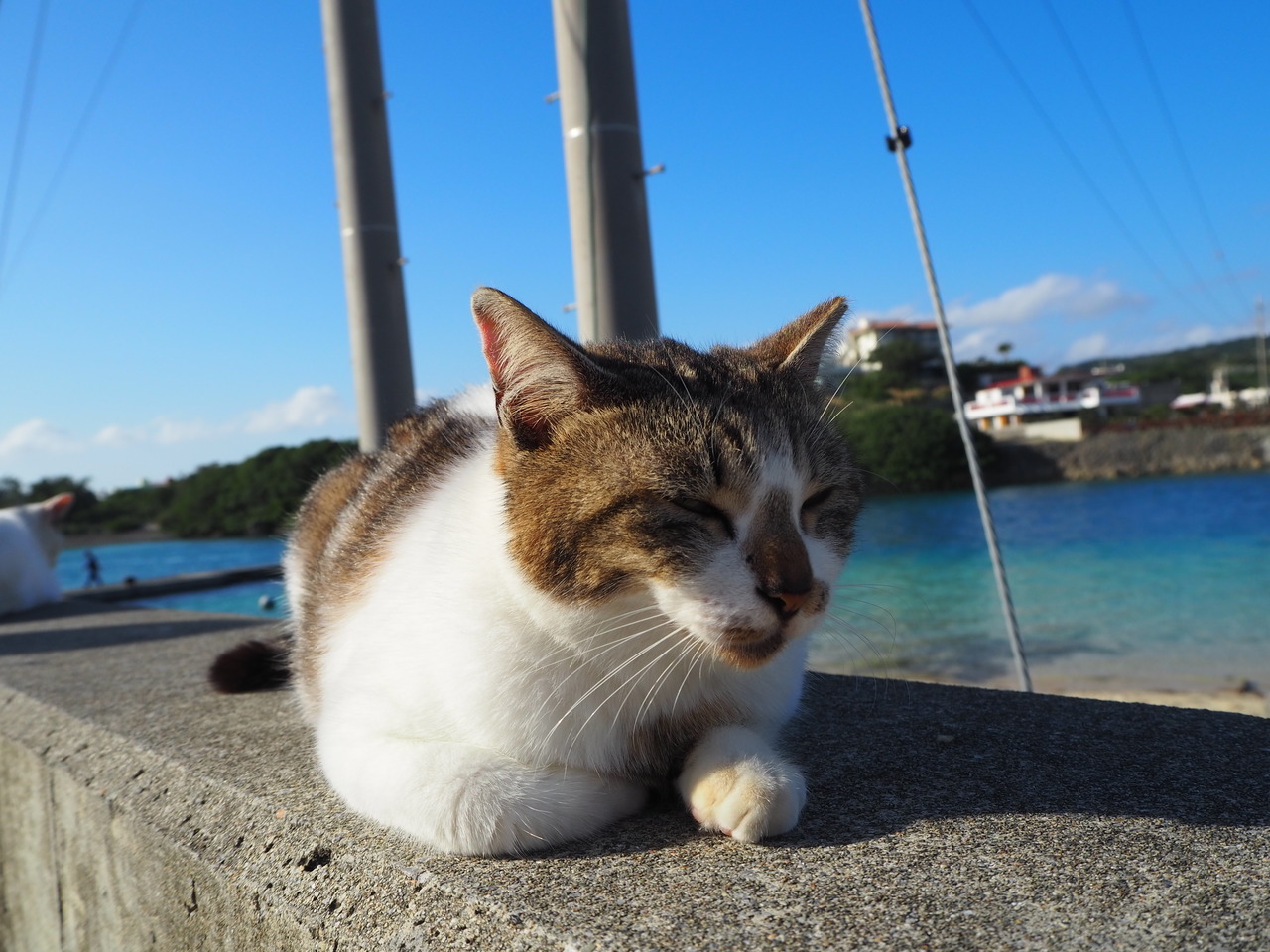 子連れで冬の沖縄リベンジ旅 沖縄県の旅行記 ブログ By あーちゃんさん フォートラベル