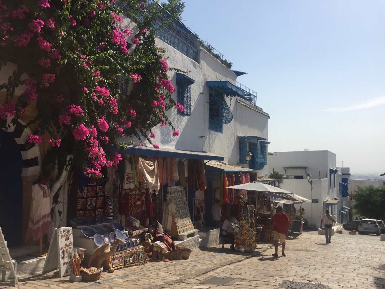 ヨーロッパと中東のミックスを感じれる街 シディブサイド シディ ブ サイド チュニジア の旅行記 ブログ By Chieさん フォートラベル