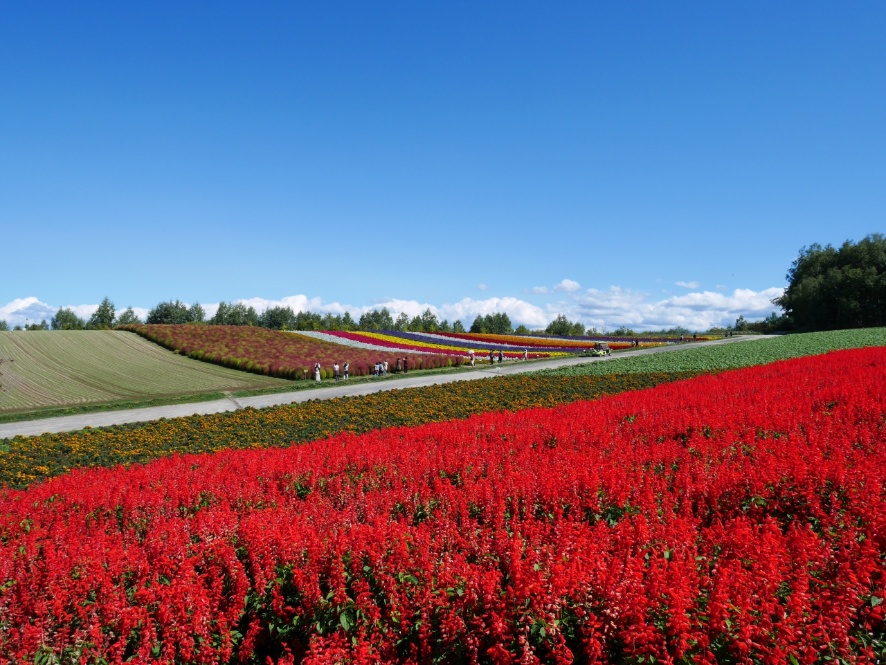 9月の四季彩の丘と道の駅巡り 北海道の旅行記 ブログ By ばにらさん フォートラベル