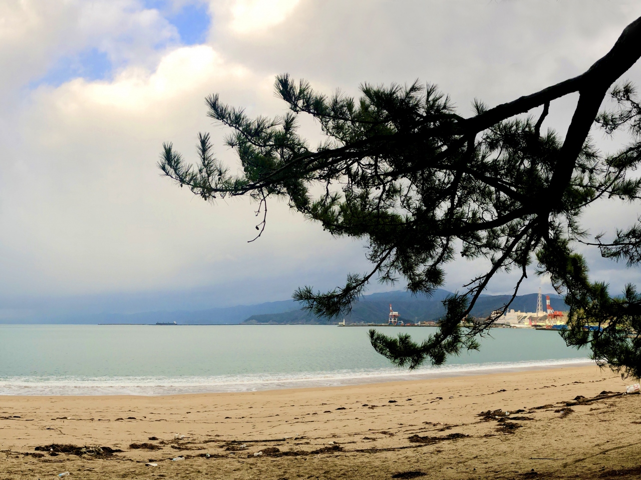 青春18きっぷ年越し旅 1 2 多治見 敦賀 敦賀 福井県 の旅行記 ブログ By のいさん フォートラベル