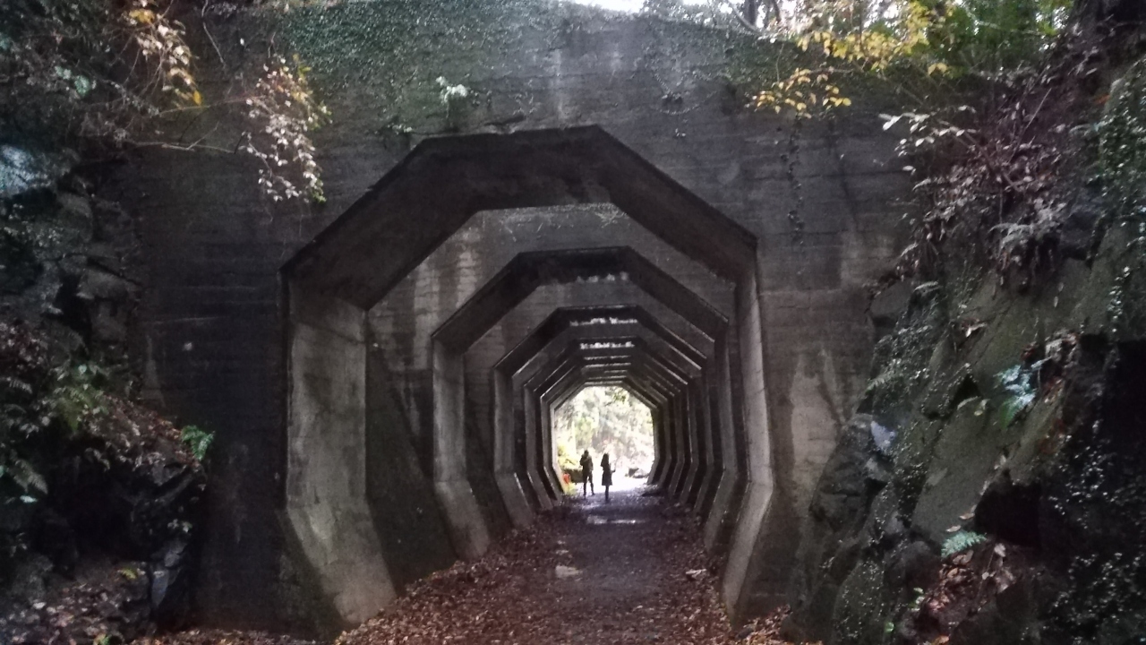 ミステリーツアー 何処に行くのかな ３ ４日目 湯布院 由布院温泉 大分県 の旅行記 ブログ By まやさん フォートラベル