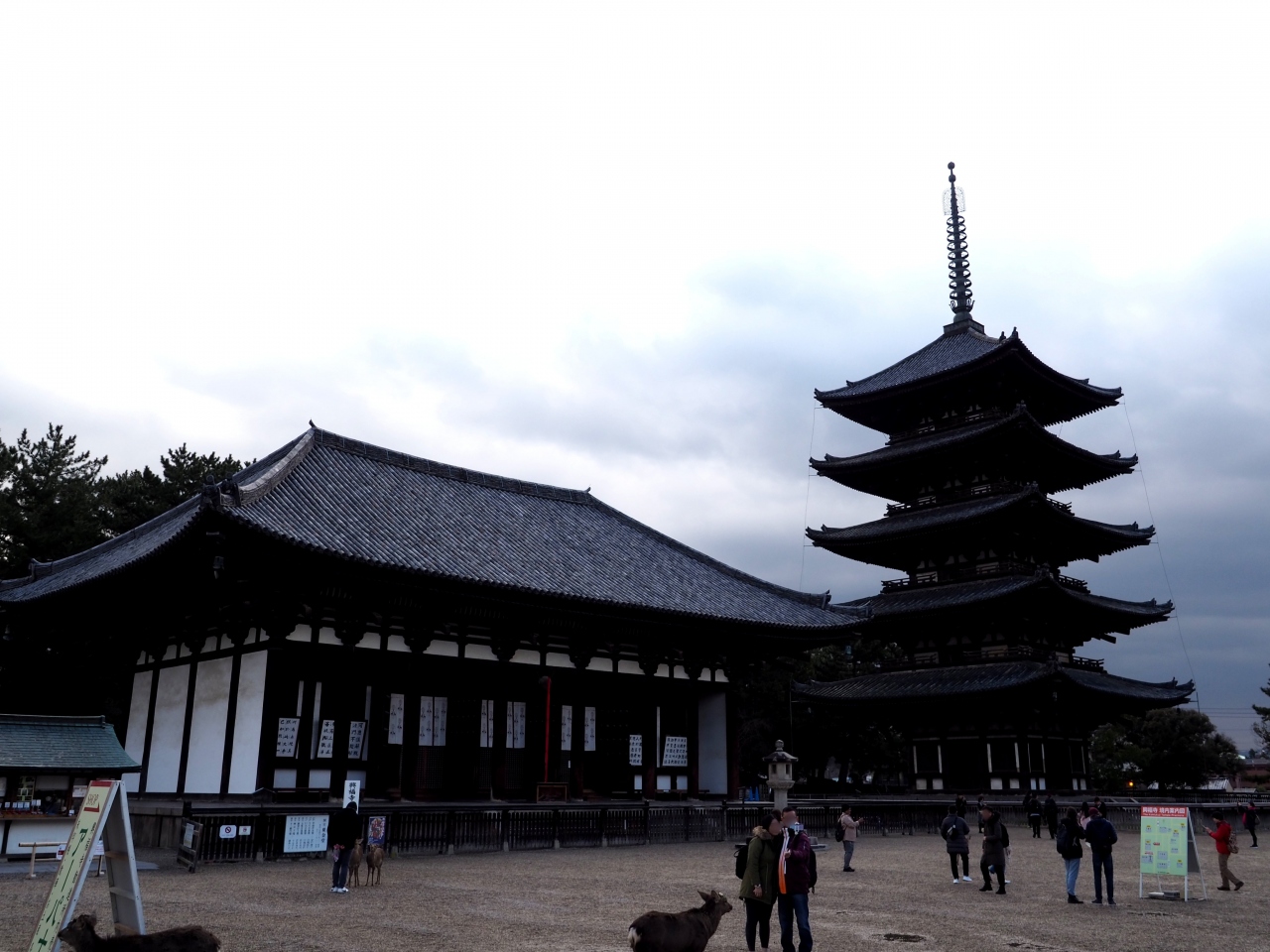 奈良に行く用事があり興福寺へ 奈良市 奈良県 の旅行記 ブログ By のーとくんさん フォートラベル 奈良に行く用事があり興福寺へ 奈良市 奈良県 の旅行記 ブログ By のーとくんさん フォートラベル