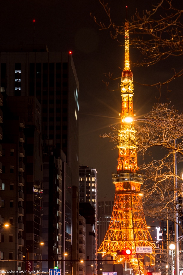 次男の結婚式にかこつけて東京タワー撮影 浜松町 竹芝 東京 の旅行記 ブログ By Mirukuさん フォートラベル