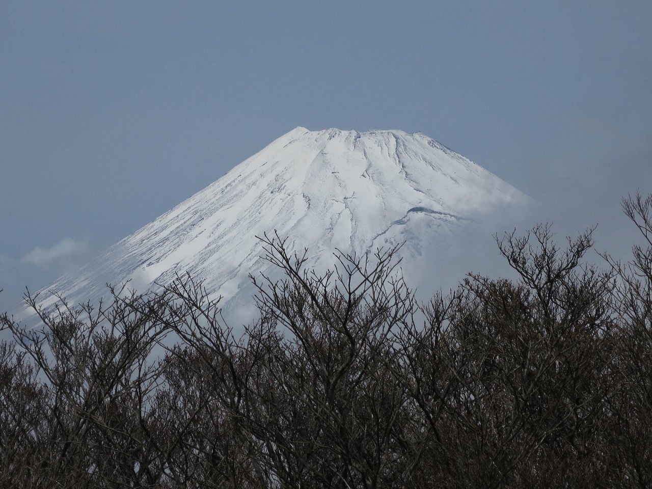 キツネにつままれた体験談 函南 静岡県 の旅行記 ブログ By ほいみさん フォートラベル