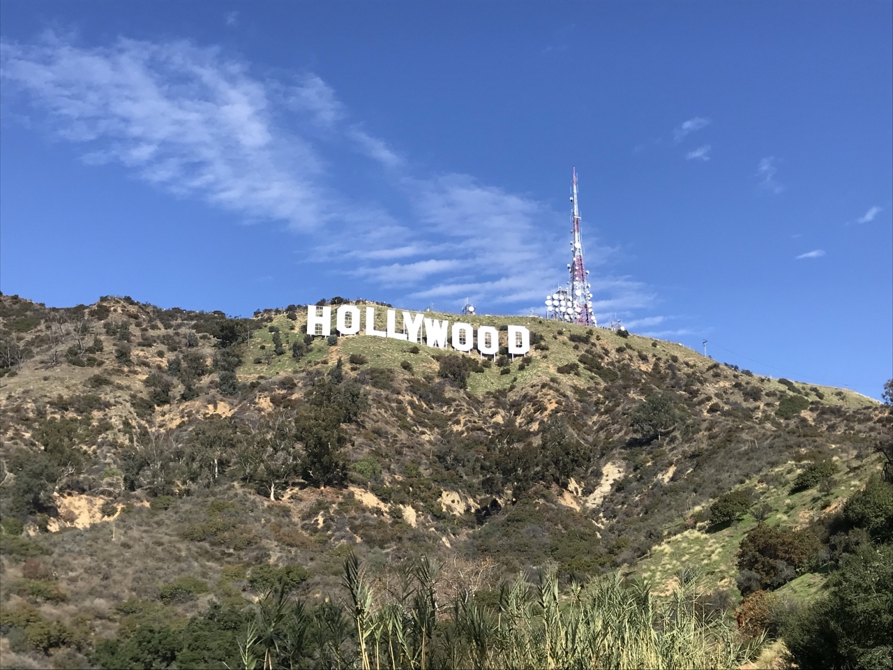 9歳子連れ カリフォルニア州旅行 ロサンゼルス市内観光とハリウッドサインへ ロサンゼルス アメリカ の旅行記 ブログ By Taeさん フォートラベル