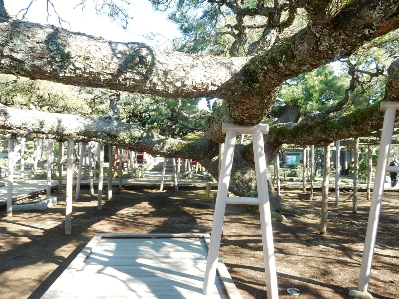 見所の少ない旅行記 東京の歴史散歩 小岩 新小岩 小岩 東京 の旅行記 ブログ By Pedaruさん フォートラベル