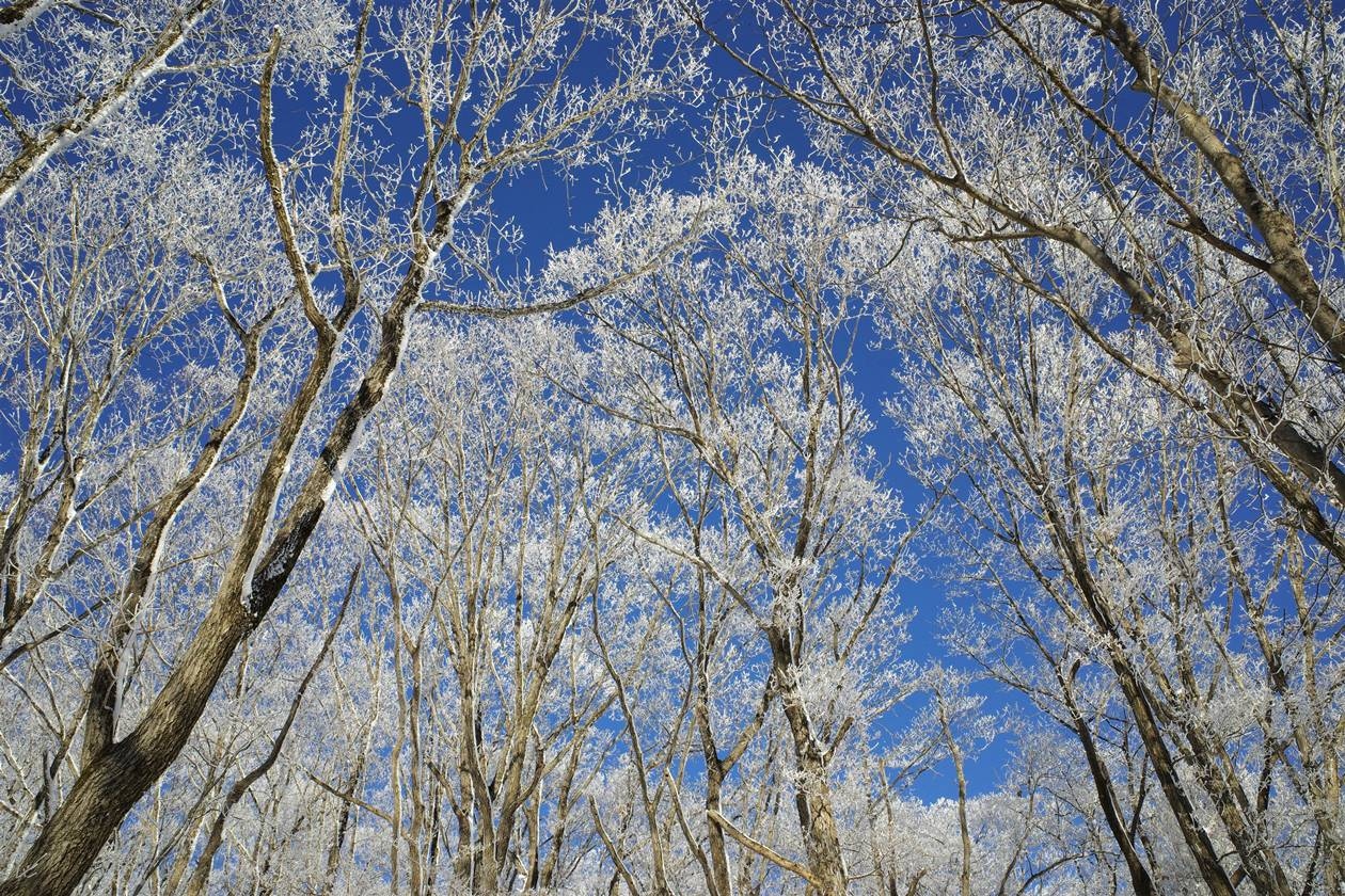 東京で雪山登山 冬の陣馬山 景信山 高尾山 高尾 八王子 東京 の旅行記 ブログ By みやっちさん フォートラベル 東京で雪山登山 冬の陣馬山 景信山 高尾山 高尾 八王子 東京 の旅行記 ブログ By みやっちさん フォートラベル
