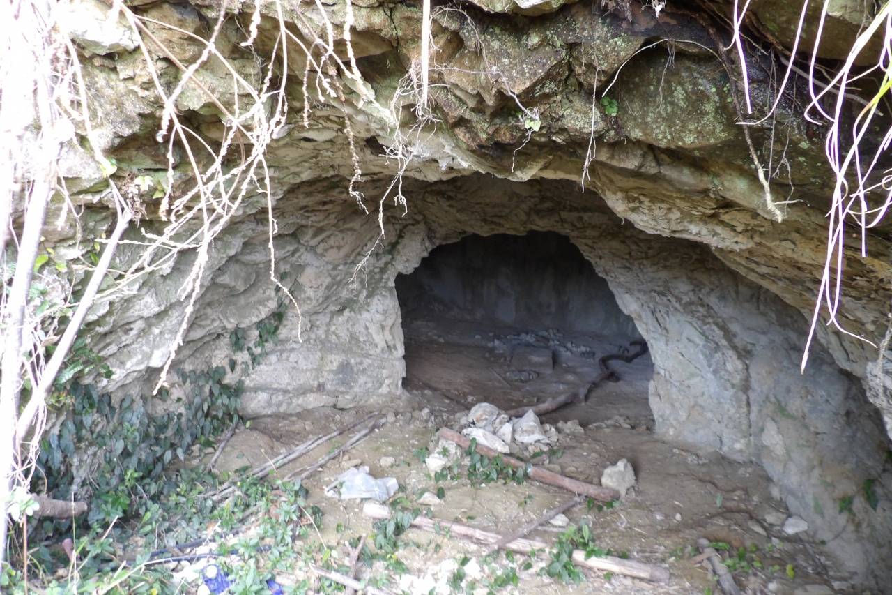 北条義時やぐらと北条政子やぐらの横穴墓群 年冬 鎌倉 神奈川県 の旅行記 ブログ By ドクターキムルさん フォートラベル