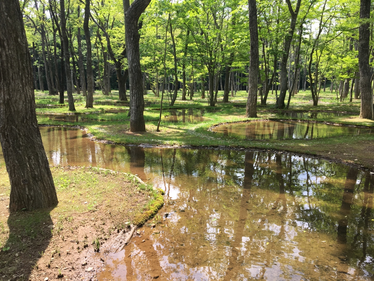 娘2歳誕生日 那須旅行1日目 那須 栃木県 の旅行記 ブログ By ラブ旅子さん フォートラベル 娘2歳誕生日 那須旅行1日目 那須 栃木県 の旅行記 ブログ By ラブ旅子さん フォートラベル