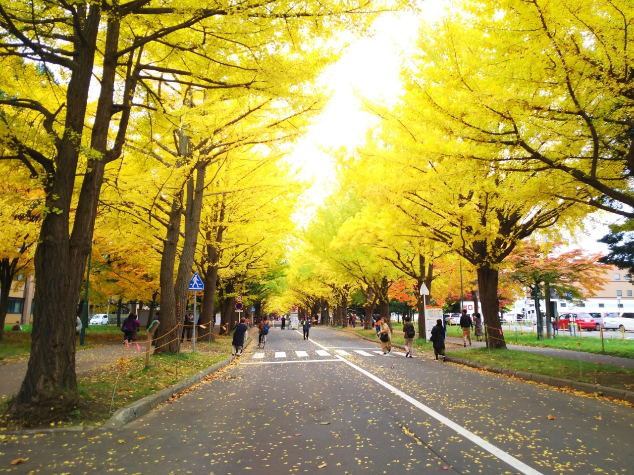 人生初の北海道1泊2日 札幌観光 サッポロビール園 北海道大学 新千歳空港 札幌 北海道 の旅行記 ブログ By Tekitounahitoさん フォートラベル