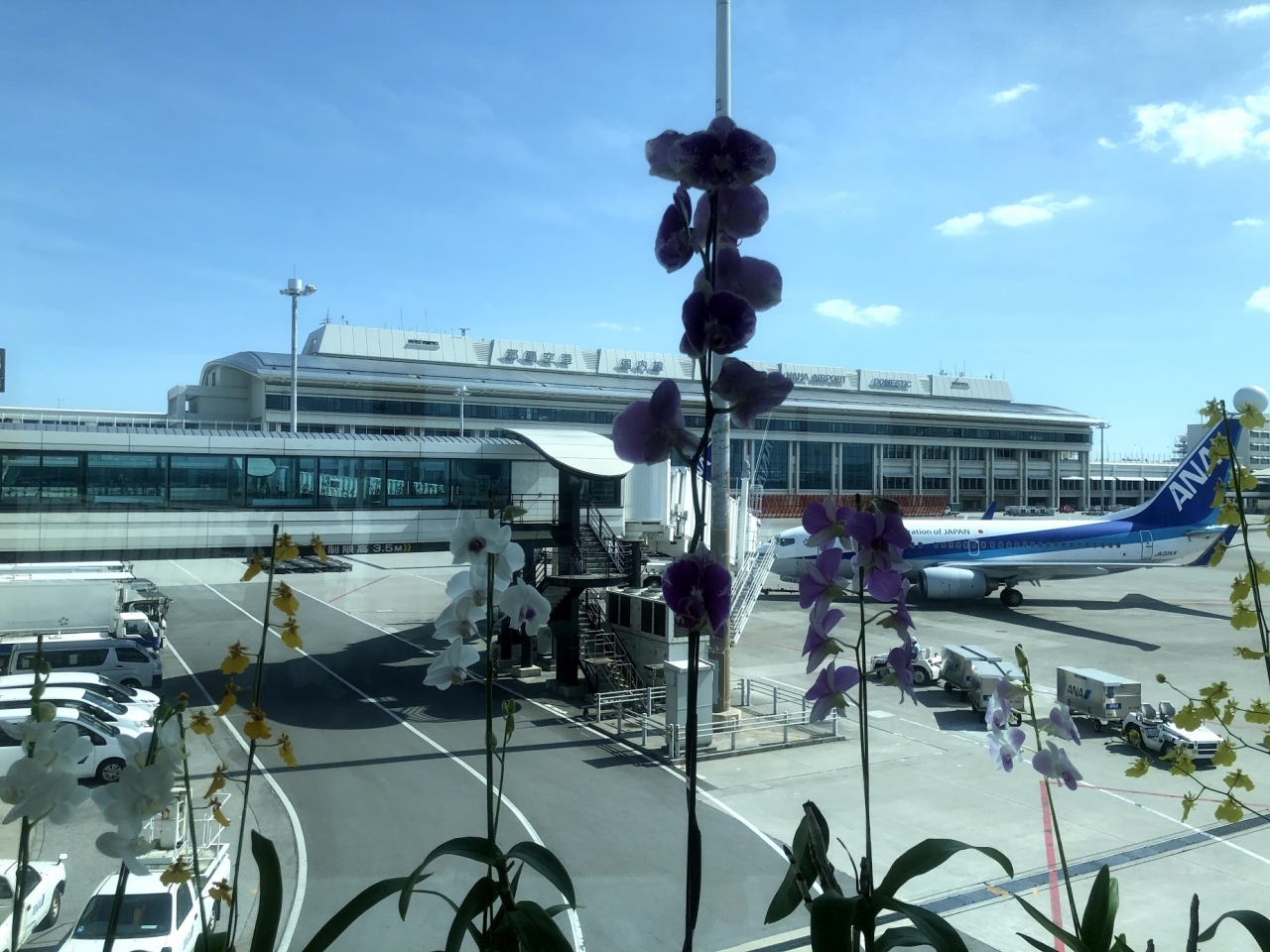 松山空港から那覇へのフライトの外の眺め 飛行機の非常口席のメリットとデメリット 那覇 沖縄県 の旅行記 ブログ By フーテンさん フォートラベル