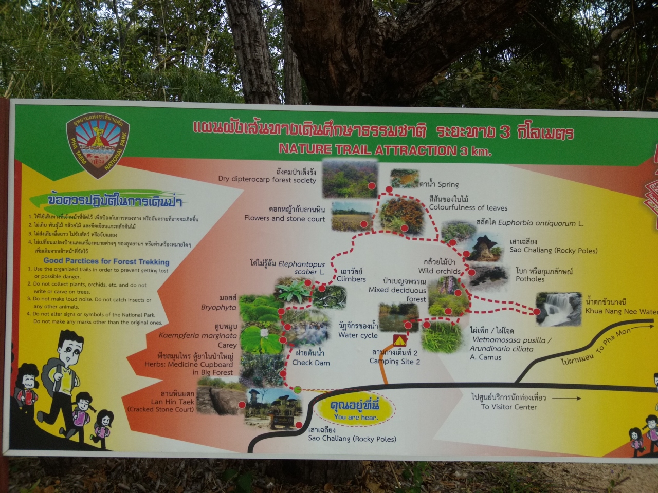 日本語とローマ字しか分からない 60代夫婦のレンタカー旅行 6日目パー テム国立公園part 編 ウボン ラチャタニ タイ の旅行記 ブログ By たけちゃんさん フォートラベル