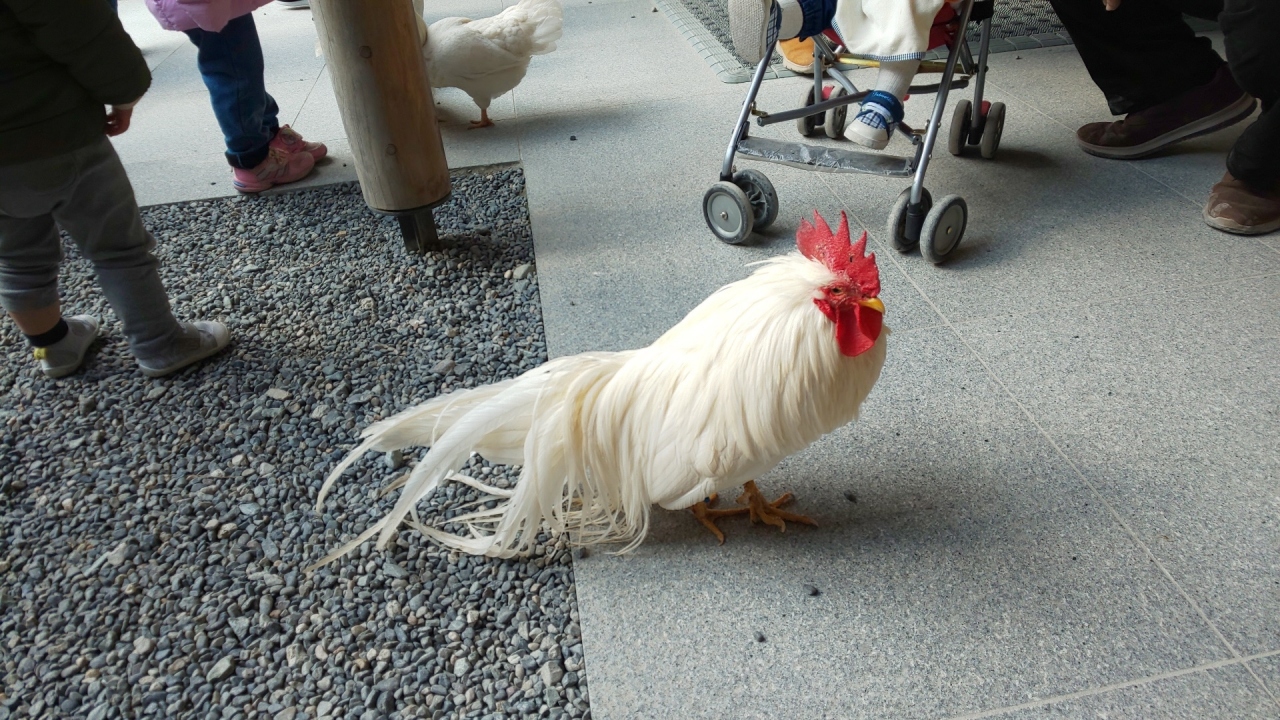 お伊勢さん初詣 伊勢神宮 三重県 の旅行記 ブログ By Rondaさん フォートラベル