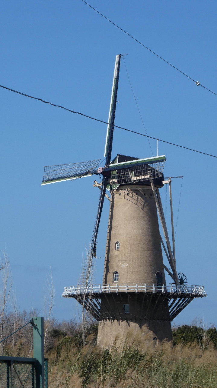 堺にオランダ風車があるらしいので見に行ってきた 堺 大阪 の旅行記 ブログ By Mitsunさん フォートラベル