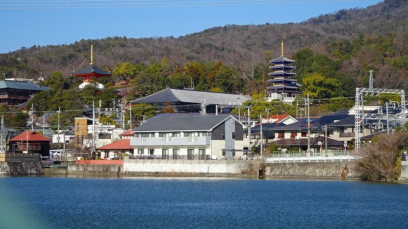 節分の日に咲き始めていた 中山寺梅林へ開花状況を確認しに行きました その１ 宝塚 兵庫県 の旅行記 ブログ By Hn11さん フォートラベル