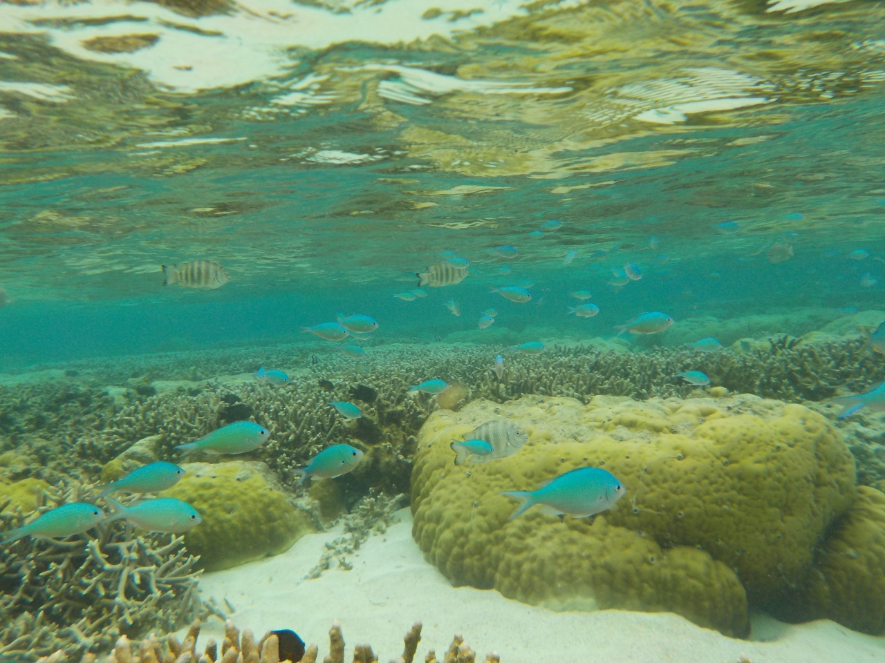 天気はいまいちでしたが 海はきれいなグアムでした 後編 グアム グアム の旅行記 ブログ By アミンちゅ うみんちゅさん フォートラベル