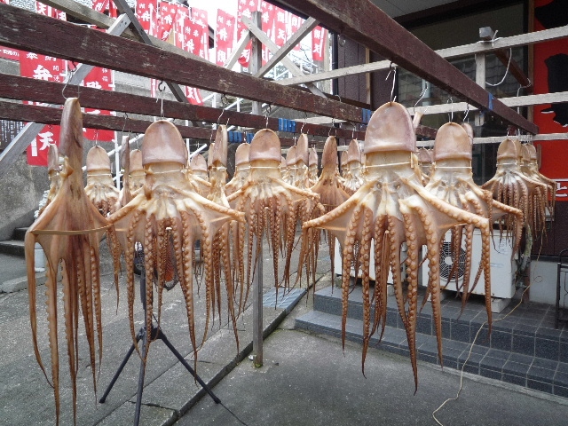 日間賀島ふぐづくし 美浜 愛知県 の旅行記 ブログ By Maitakeさん フォートラベル 日間賀島ふぐづくし 美浜 愛知県 の旅行記 ブログ By Maitakeさん フォートラベル