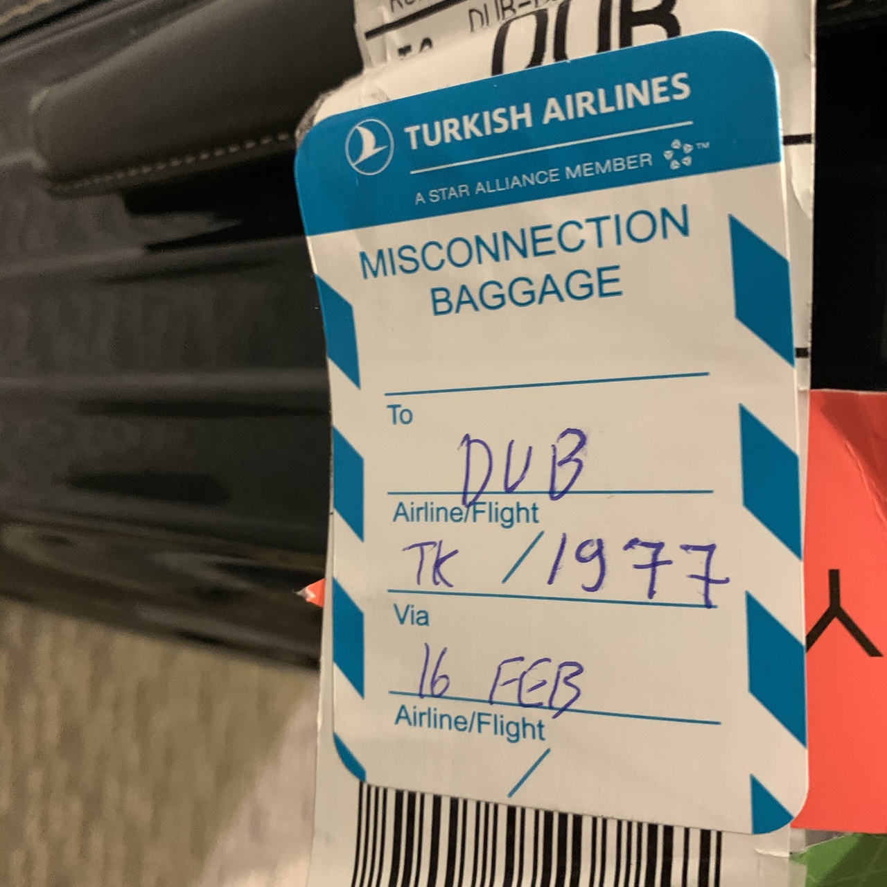 波乱万丈の アイルランド 旅立ち ベルファスト イギリス の旅行記 ブログ By ねっこさん フォートラベル