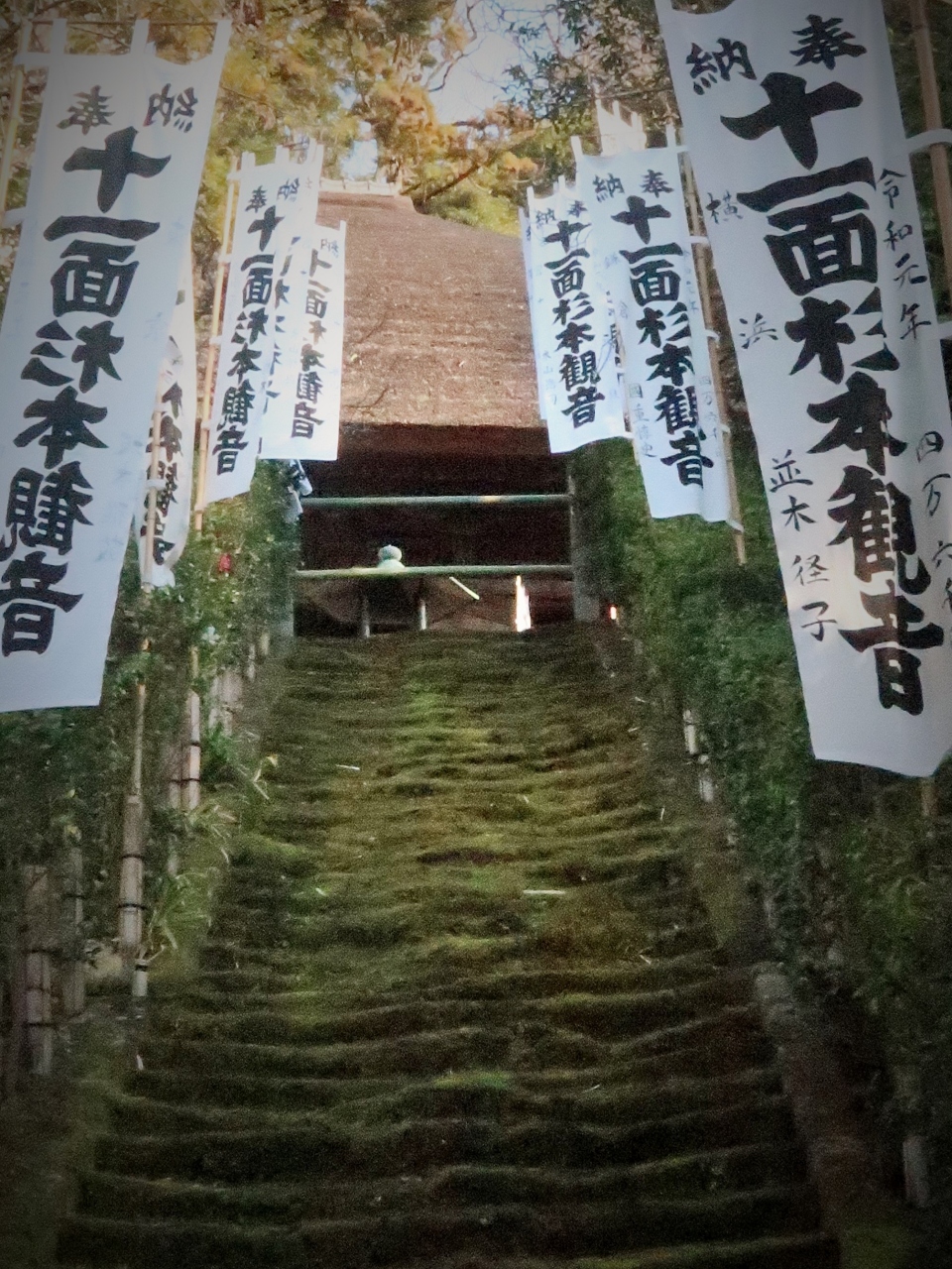 2 鎌倉 大蔵山-杉本寺 坂東第一番 杉本観音 ☆古刹:苔むした石段/本堂は茅葺き屋根