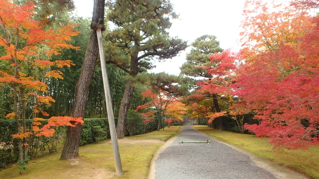 京都紅葉八景 8 桂離宮 嵐山 嵯峨野 太秦 桂 京都 の旅行記 ブログ By 隠居人はせじぃさん フォートラベル