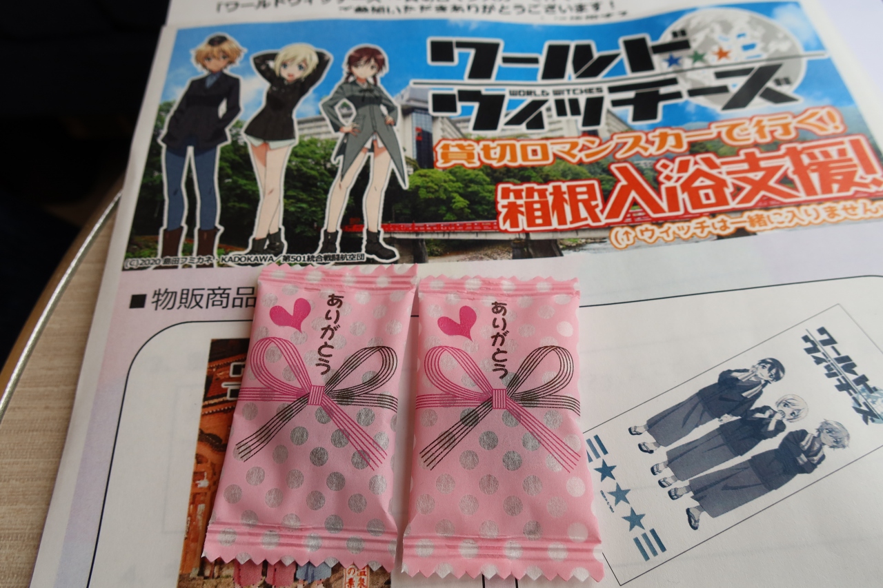 ワールドウィッチーズ 貸し切りロマンスカーで行く箱根温泉入浴支援 に参加して来ました 箱根湯本温泉 神奈川県 の旅行記 ブログ By Shinoさん フォートラベル