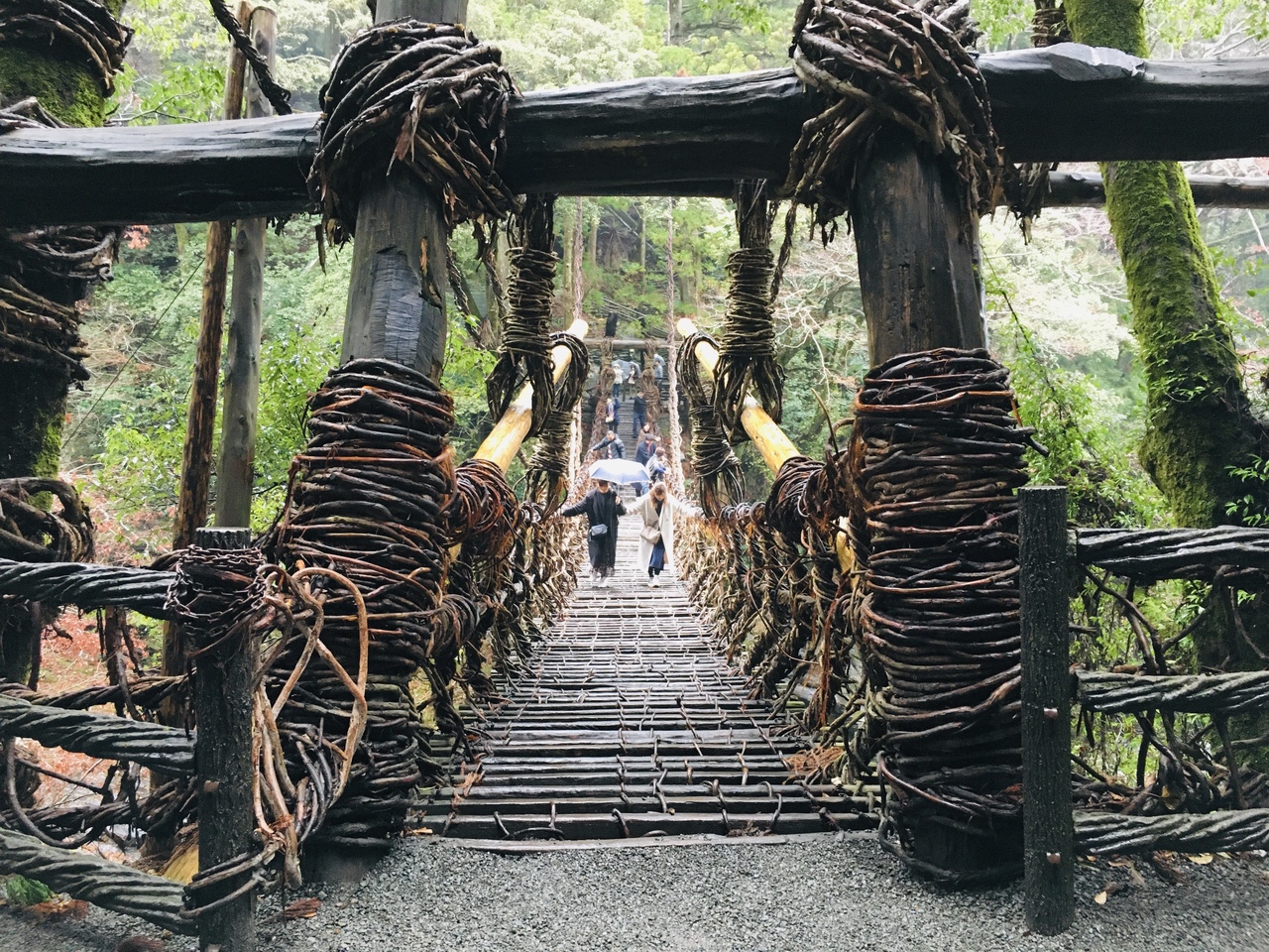 かずら橋と温泉でのんびり 徳島県３泊４日の旅 ２ 祖谷渓 かずら橋 大歩危 徳島県 の旅行記 ブログ By Cyamiyさん フォートラベル