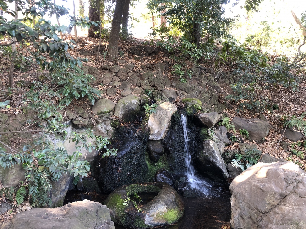 川沿いをお散歩 善福寺川から善福寺公園 井の頭公園を経て神田川へ 東京の旅行記 ブログ By Hideさん フォートラベル