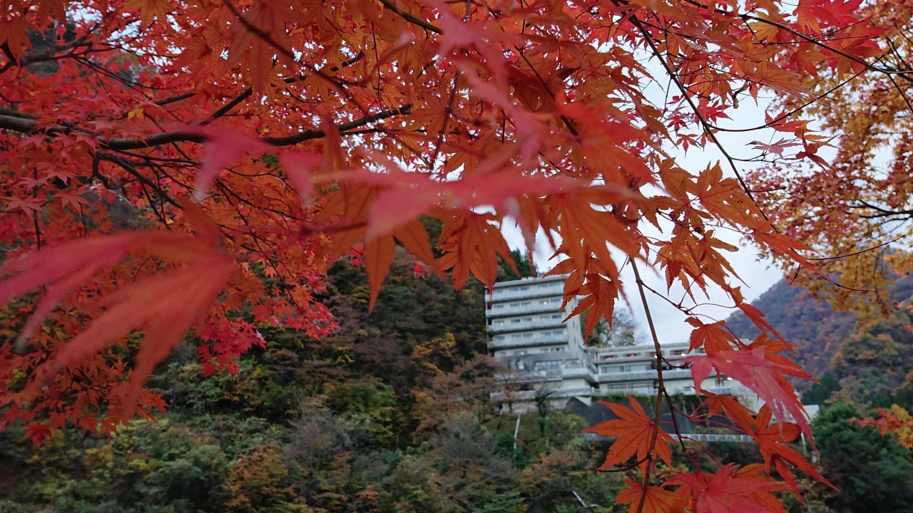 延対寺荘 宇奈月温泉 宇奈月 黒部峡谷 富山県 の旅行記 ブログ By だいちゃんさん フォートラベル 延対寺荘 宇奈月温泉 宇奈月 黒部峡谷 富山県 の旅行記 ブログ By だいちゃんさん フォートラベル