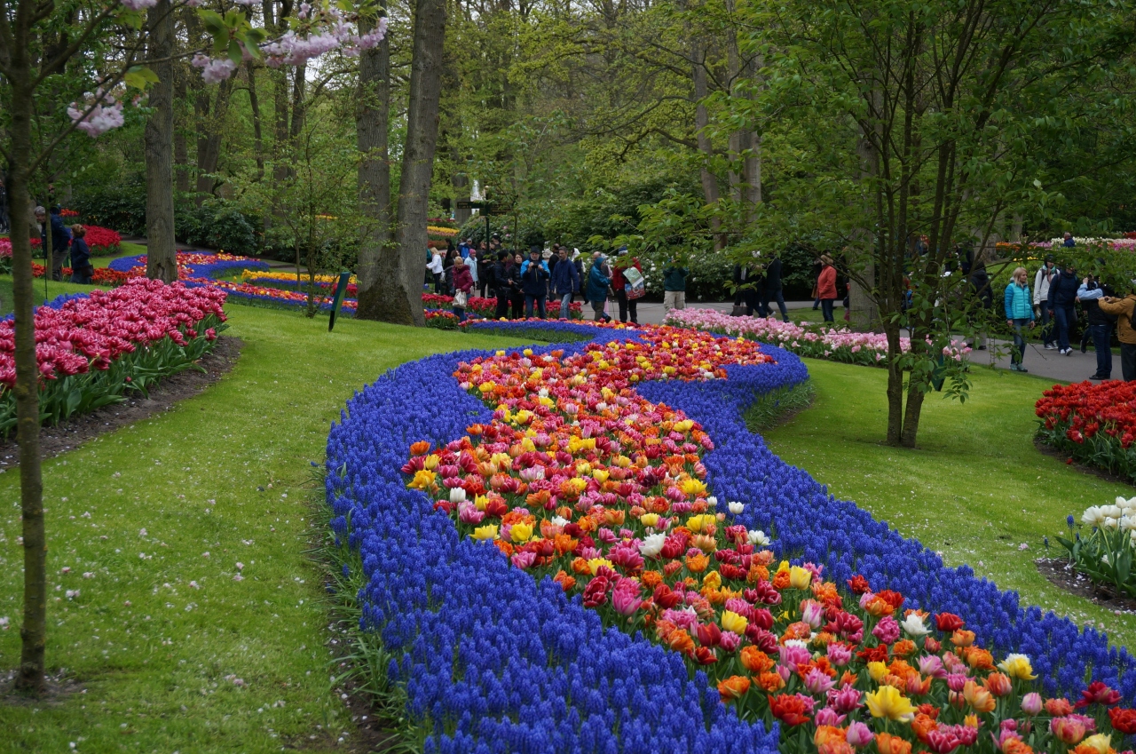 オランダ ｇｗに行くチューリップと風車の旅 キューケンホフ公園 キューケンホフ オランダ の旅行記 ブログ By Black7さん フォートラベル