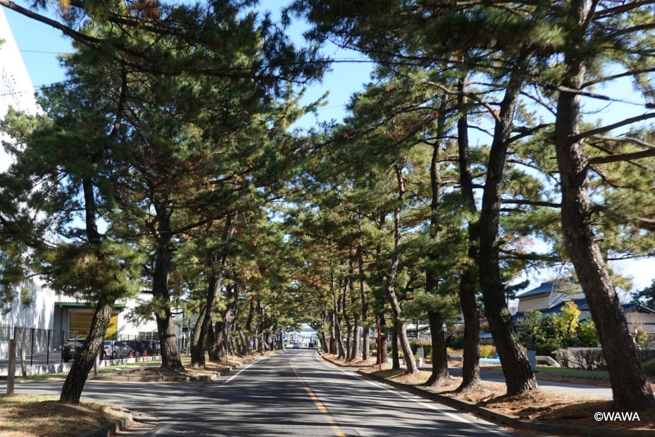 旧東海道の宿場町をドライブ 知立宿 岡崎宿 藤川宿 1 2 刈谷 知立 愛知県 の旅行記 ブログ By Mireinaさん フォートラベル