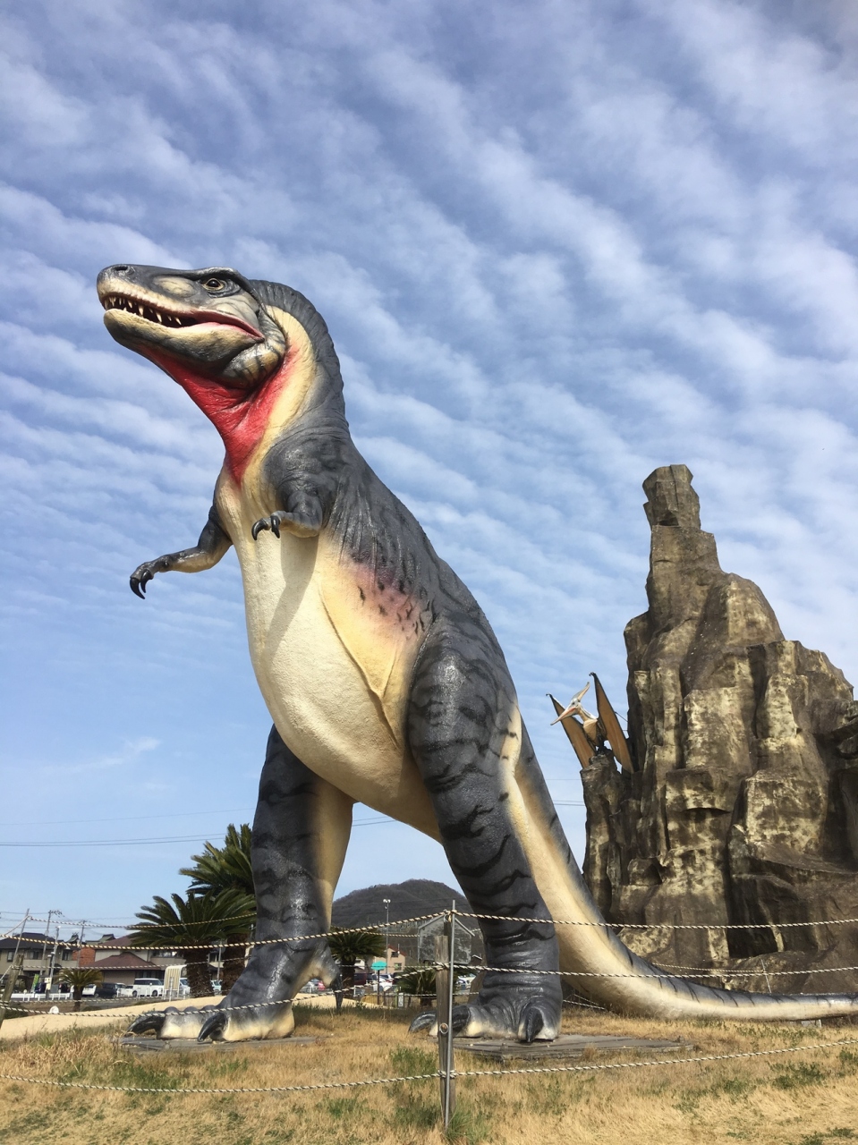 岡山 恐竜と菜の花 笠岡 浅口 岡山県 の旅行記 ブログ By ゆきさん フォートラベル