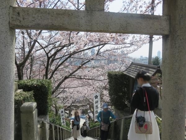 春の神戸と有馬温泉 13 北野天満神社の桜 神戸 兵庫県 の旅行記 ブログ By Happinさん フォートラベル 春の神戸と有馬温泉 13 北野天満神社の桜 神戸 兵庫県 の旅行記 ブログ By Happinさん フォートラベル