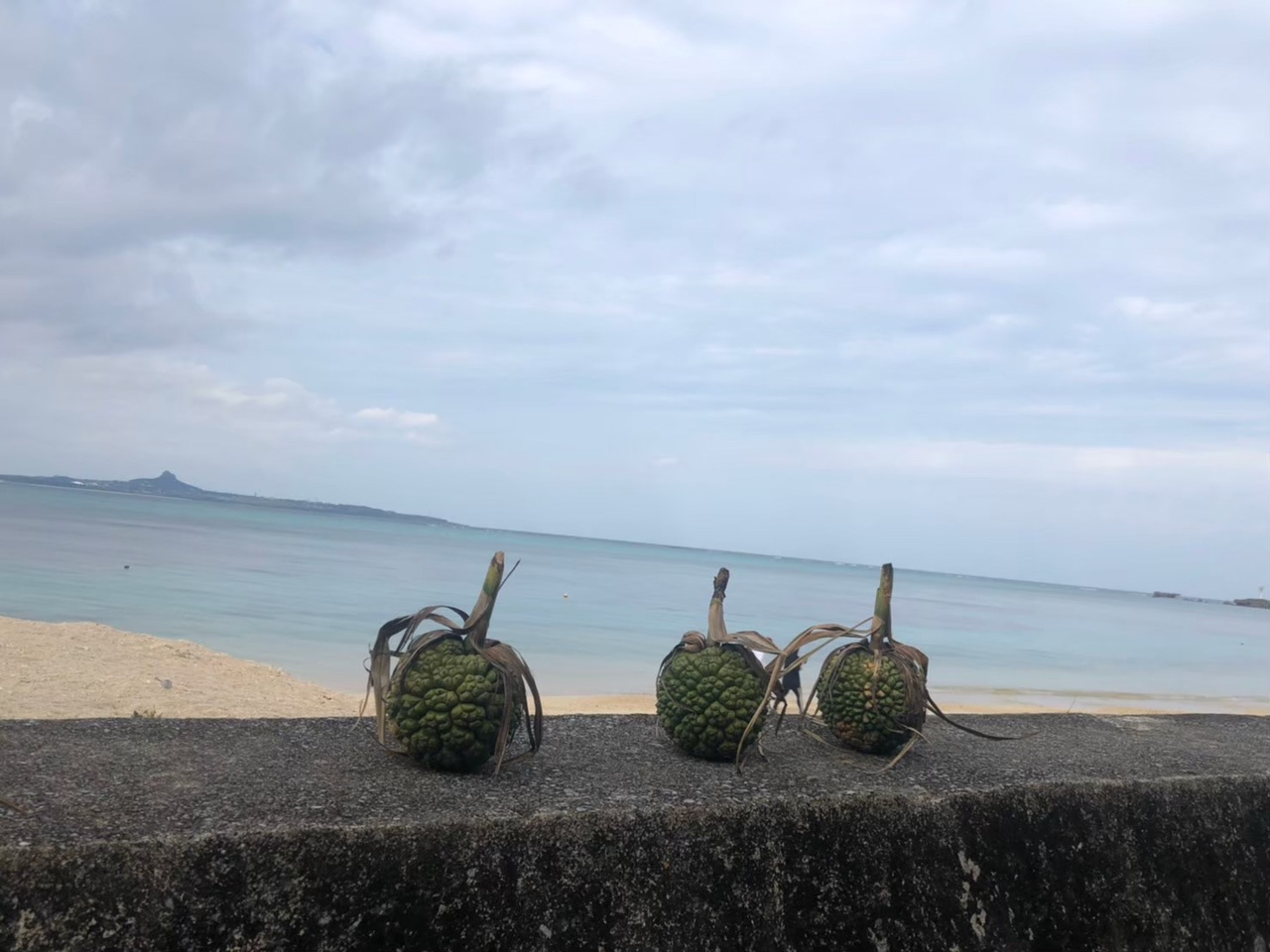 沖縄本島 最後の家族4人旅 沖縄県の旅行記 ブログ By N Lさん フォートラベル