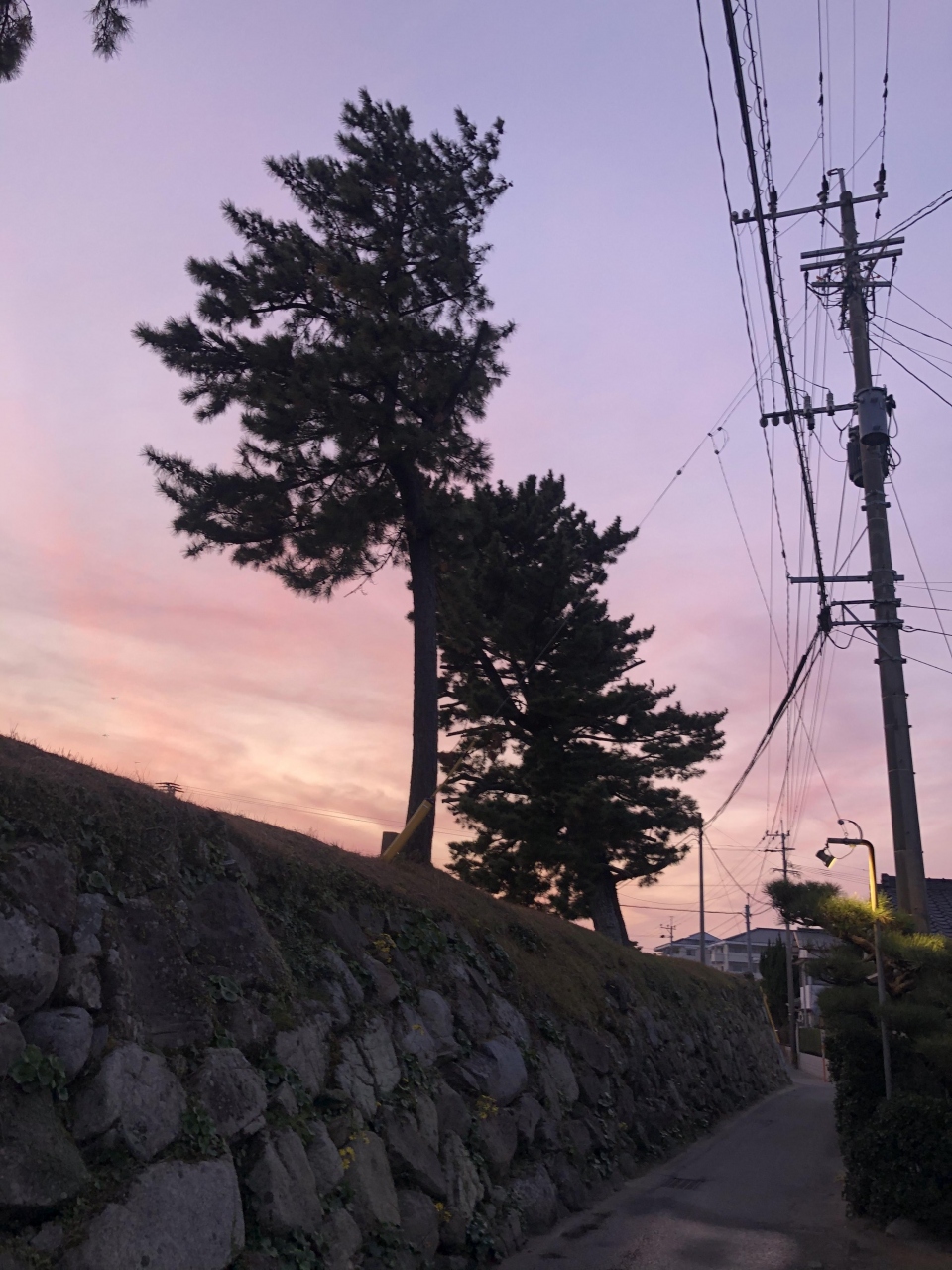 年の瀬 唐津のアラ鍋 唐津 虹の松原 佐賀県 の旅行記 ブログ By Komabaanさん フォートラベル 年の瀬 唐津のアラ鍋 唐津 虹の松原 佐賀県 の旅行記 ブログ By Komabaanさん フォートラベル