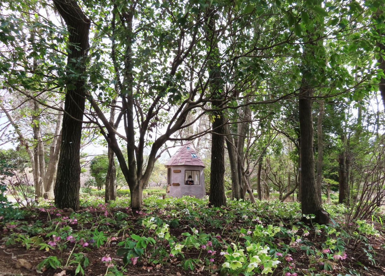 Japan こびとの小屋からはじまる楽しい旅 昭和記念公園と素敵なカフェテラス Awesome Apple Pie 立川 東京 の旅行記 ブログ By 唐辛子婆さん フォートラベル Japan こびとの小屋からはじまる楽しい旅 昭和記念公園と素敵なカフェテラス Awesome Apple Pie 立川 東京 の旅行記 ブログ By 唐辛子婆さん フォートラベル