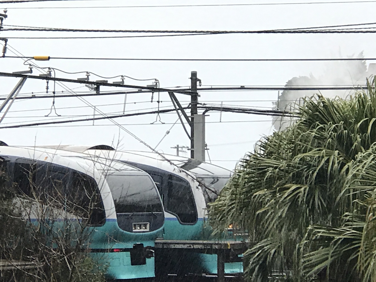 号 踊り子