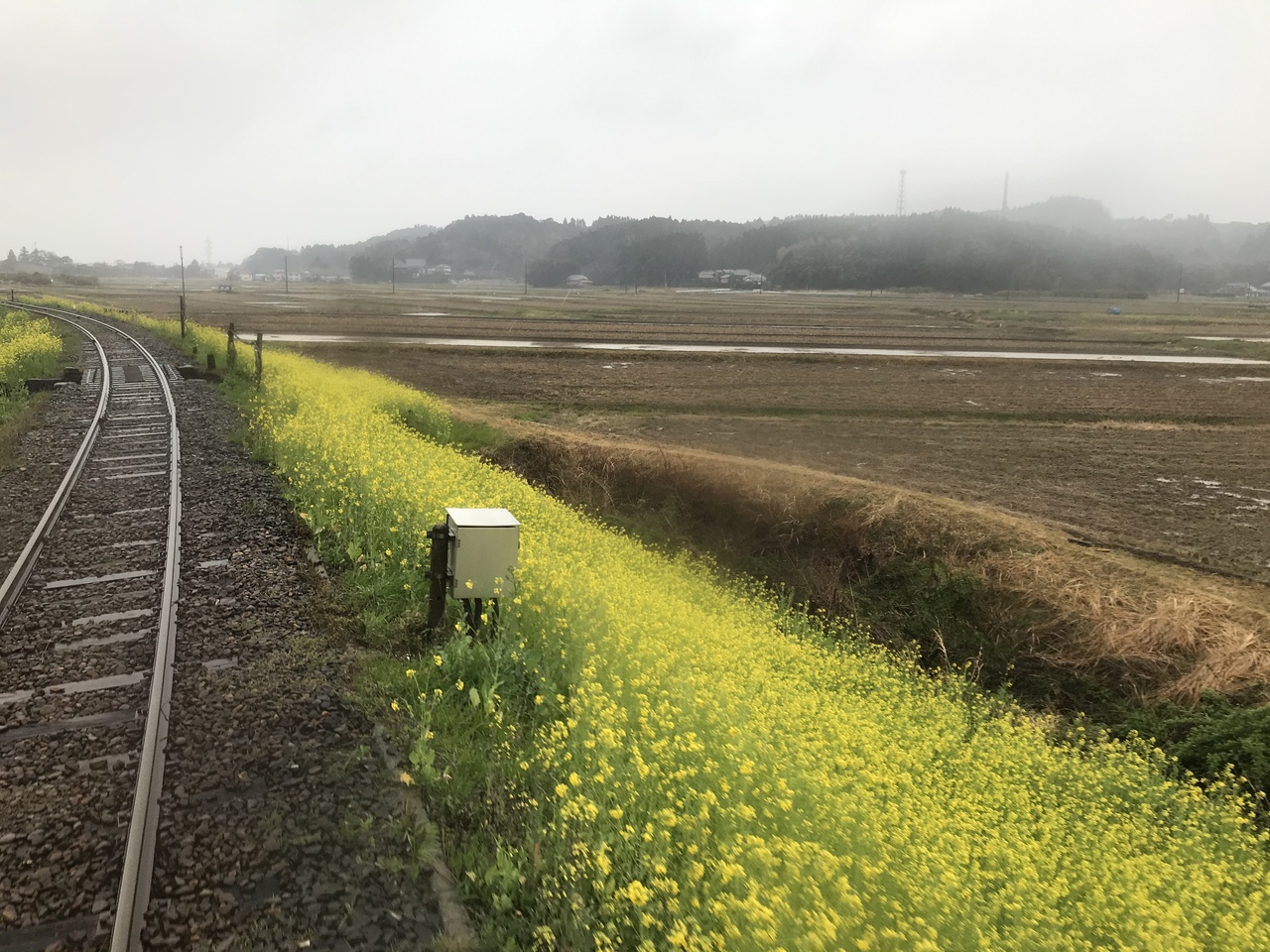 千葉 グランピング いすみふらり旅 1泊2日家族旅 Day2 いすみ 大多喜 千葉県 の旅行記 ブログ By タクトさん フォートラベル 千葉 グランピング いすみふらり旅 1泊2日家族旅 Day2 いすみ 大多喜 千葉県 の旅行記 ブログ By タクトさん フォートラベル