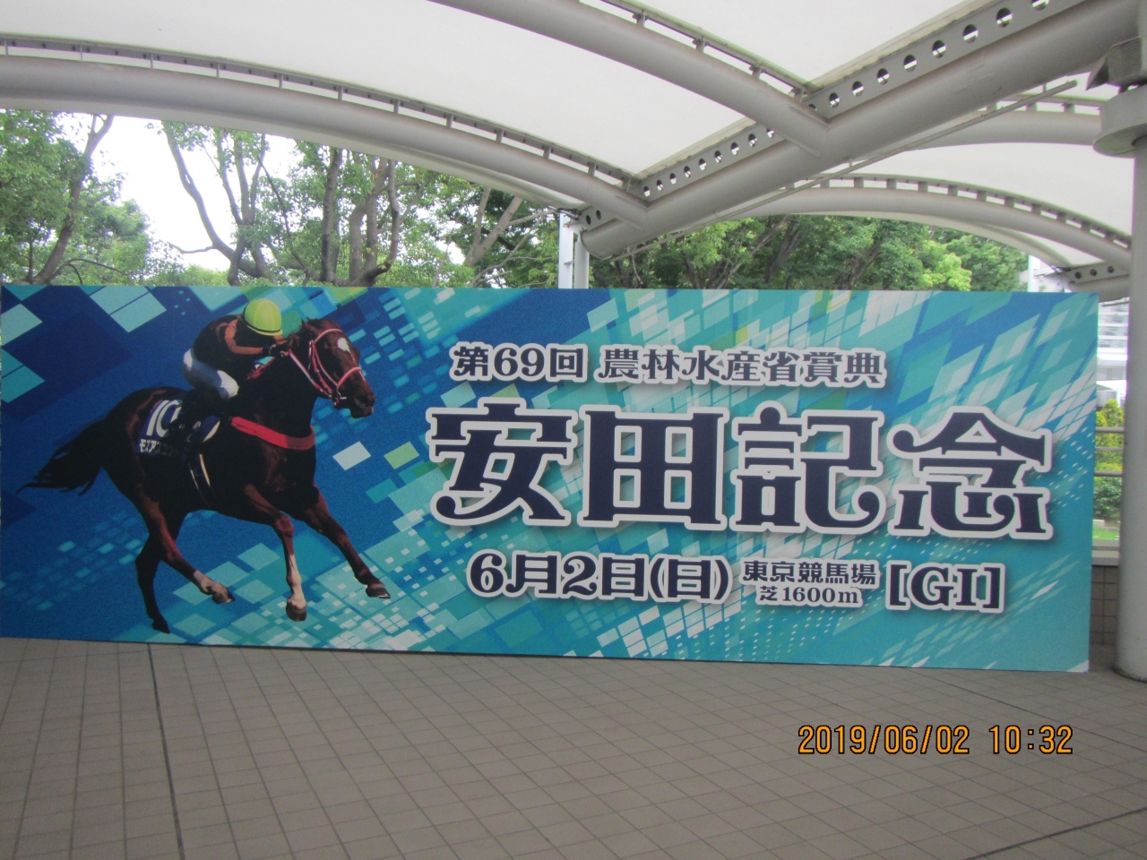 東京 競馬 場 天気