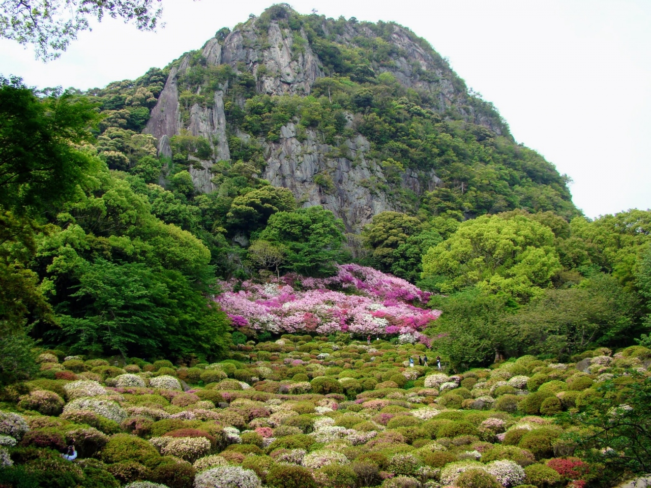 つつじと藤の名所を巡る 福岡 佐賀の旅 御船山楽園 武雄 多久 佐賀県 の旅行記 ブログ By Black7さん フォートラベル