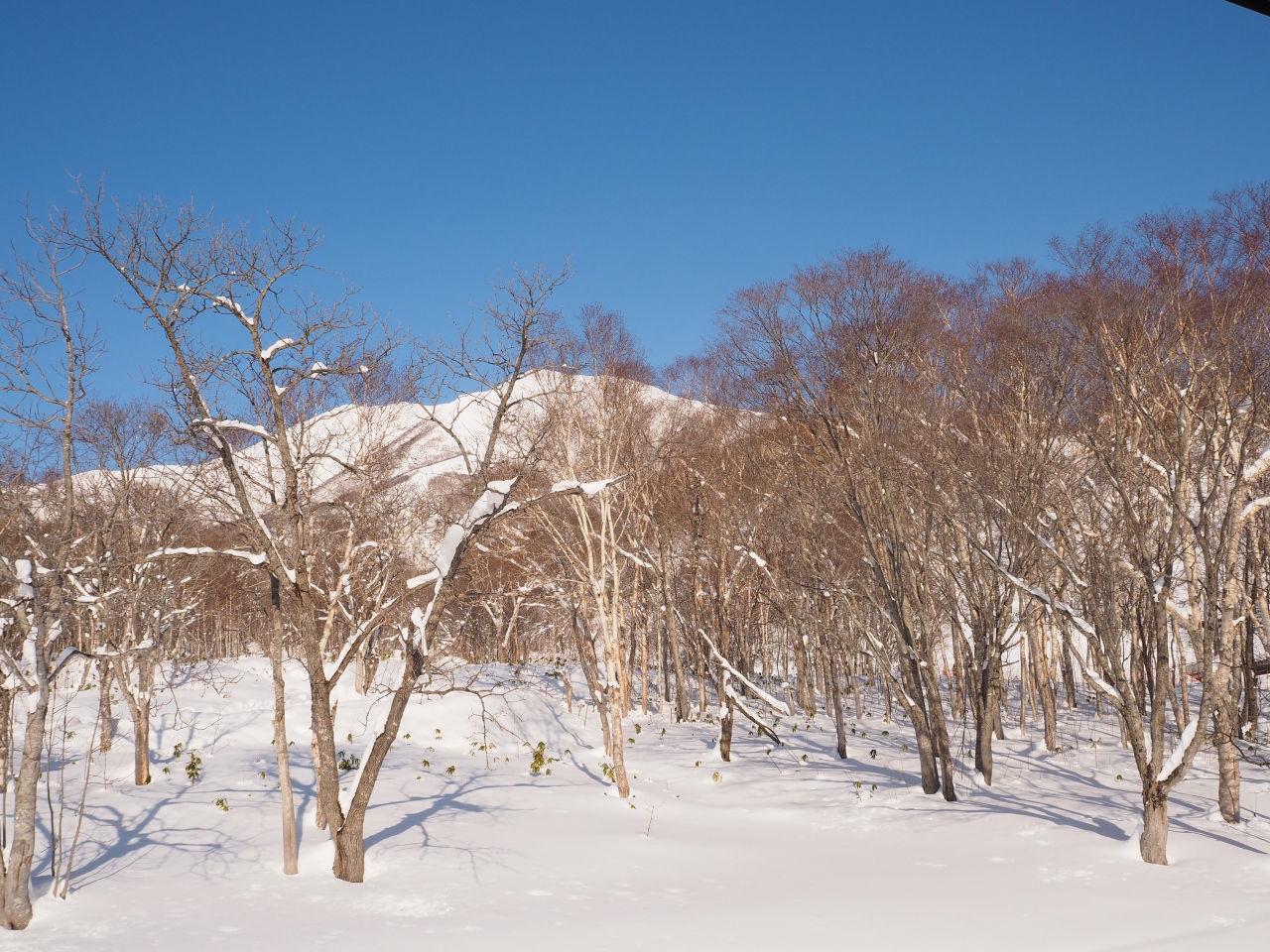 パウダースノーを求めてニセコへ でも暖冬 2月編 ニセコ 北海道 の旅行記 ブログ By Amikoさん フォートラベル