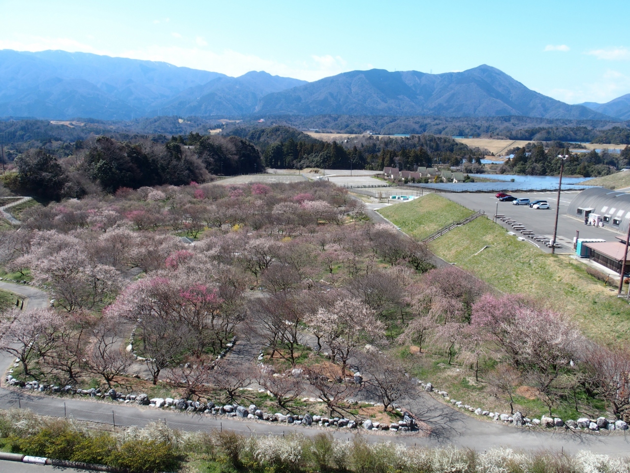 梅林 公園 いなべ いなべ市農業公園 梅林公園｜観光スポット｜観光三重