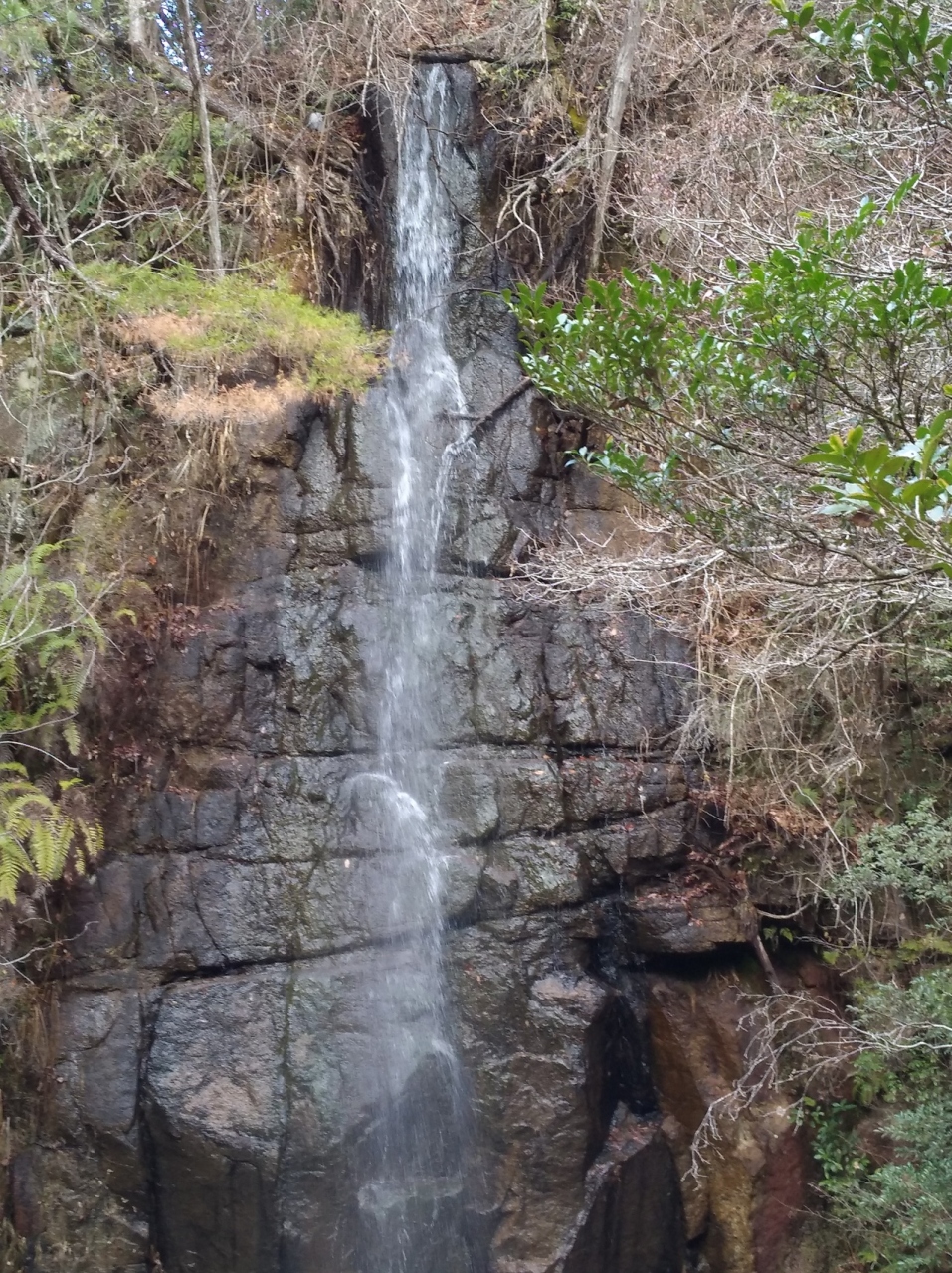 日帰り登山 岩の道を歩いた岩巣山 岩巣山登山道 瀬戸 愛知県 の旅行記 ブログ By Tachi Chiさん フォートラベル
