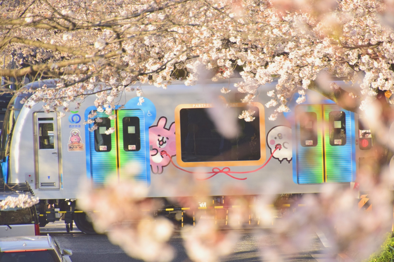 激安】 レオカード 西武鉄道 西武沿線小さな旅 岩根山 つつじ