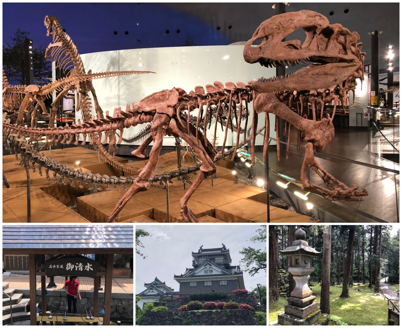 19 春 関西 北陸 2 3 福井 古代のロマン 氣比神社 福井県立恐竜博物館 越前大野城 白山平泉神社 福井県の旅行記 ブログ By Traveljackさん フォートラベル 19 春 関西 北陸 2 3 福井 古代のロマン 氣比神社 福井県立恐竜博物館 越前大野城 白山平泉神社 福井県の旅行記 ブログ By Traveljackさん フォートラベル