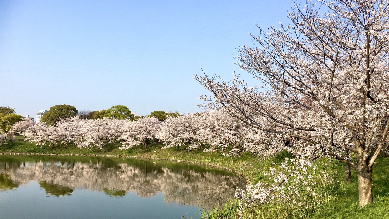 鶴見 緑地 公園