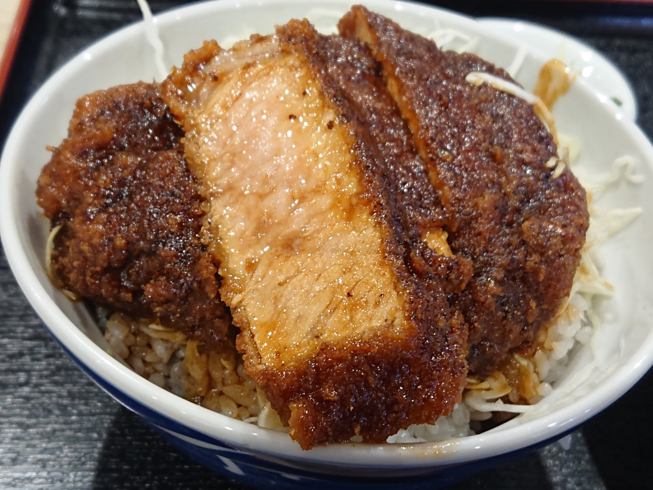 伊那路ソースかつ丼の旅 長野県の旅行記 ブログ By なおかりさん フォートラベル